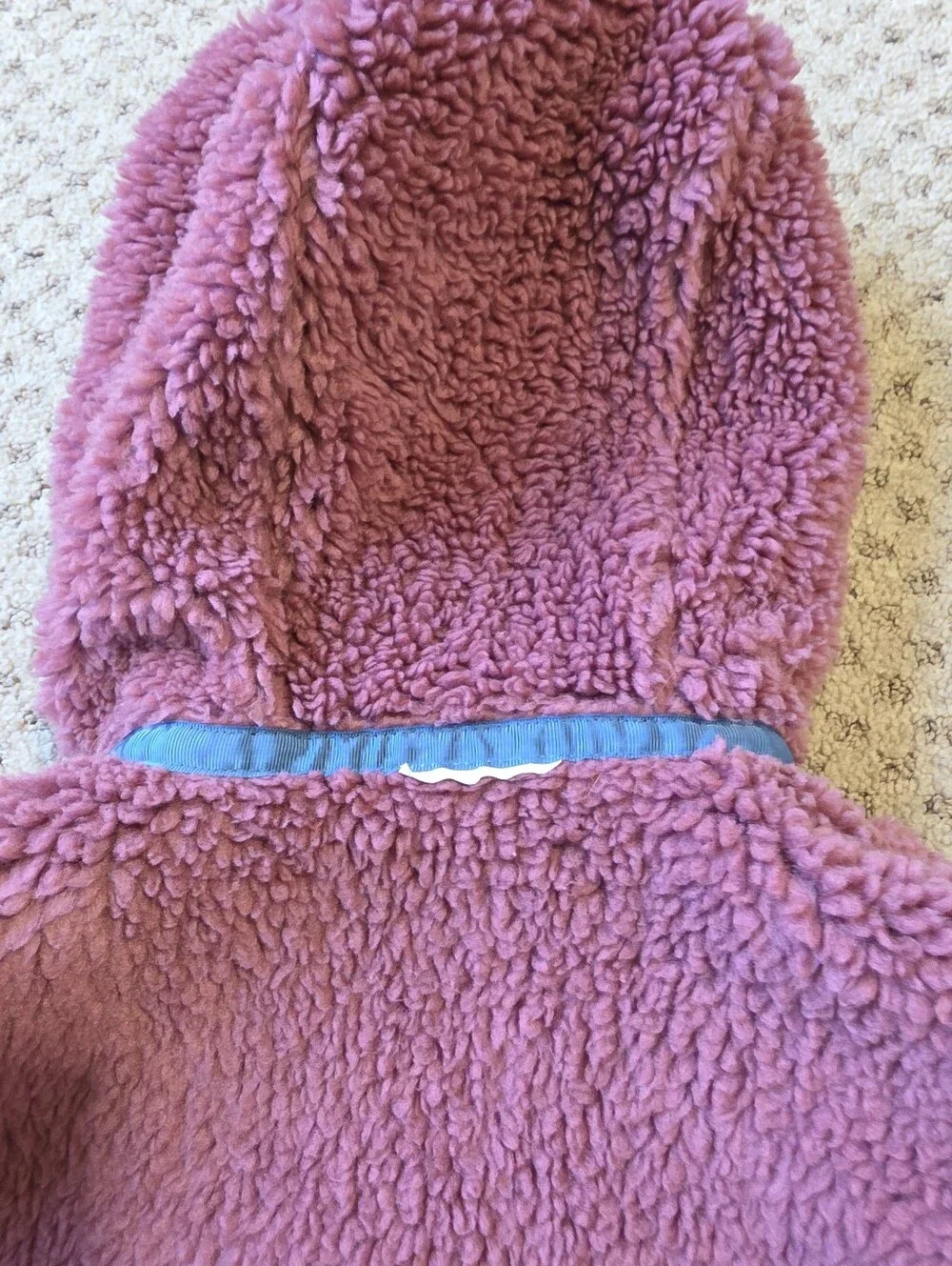 Patagonia Reversible Ready Freddy Hoody